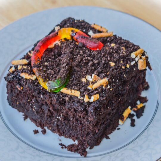 Dirt Brownie